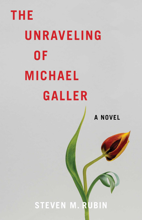 The Unraveling of Michael Galler (A Novel) by Steven M. Rubin, 9798896363743