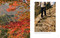 Great Smoky Mountains National Park - 9781423669425 by Max Humphrey, Rob Schanz