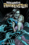 Dean Koontz's Frankenstein Storm Surge by Chuck Dixon, Andres Ponce, 9781524100902