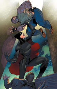 Miss Fury Volume 2 (Walk Through The Valley) by Rob Williams, Jackson Herbert, 9781606908334