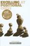 Excelling at Positional Chess by Jacob Aagaard, 9781857443257