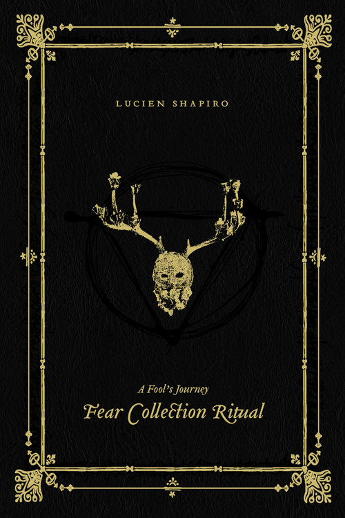 A Fool's Journey by Lucien Shapiro, 9781945649158