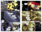 Star Trek: Aliens--IDW Classic Collections by Scott Tipton, John Byrne, Jackson Lanzing, Collin Kelly, 9798887244556