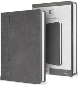 KJV Holy Bible Large Print Handy Size Gray Imitation Leather by KING JAMES VERSION, 9798890985538