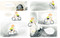 Tom's Wild Ride by Isabelle Arsenault, 9780735267626