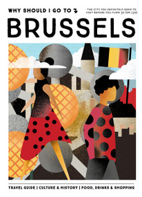 Why Should I Go To Brussels (The City You Definitely Need to Visit Before You Turn 30 (or 130)) by Tal Maes, 9789493338944
