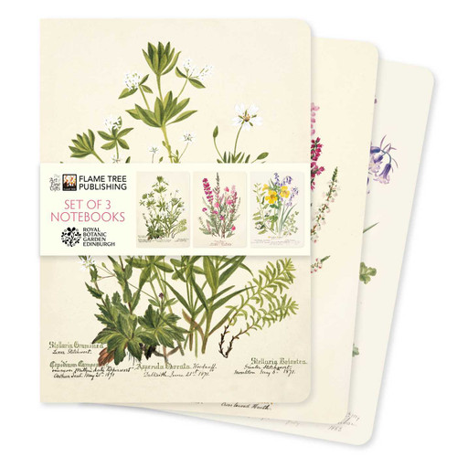 Royal Botanic Gardens Edinburgh Set of 3 Standard Notebooks by Flame Tree Studio, 9781835628591