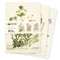 Royal Botanic Gardens Edinburgh Set of 3 Standard Notebooks by Flame Tree Studio, 9781835628591