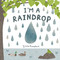 I'm a Raindrop by Tjitske Kamphuis, Tjitske Kamphuis, 9781250404947
