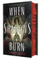 When Shadows Burn by Vanessa Le, 9781250420473