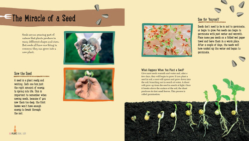 Plant, Cook, Eat! (A Children's Cookbook) by Joe Archer, Caroline Craig, 9781623547547