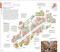 DK Istanbul by DK Travel, 9780241798195