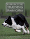Barbara Sykes' Training Border Collies by Barbara Sykes, 9781847978899
