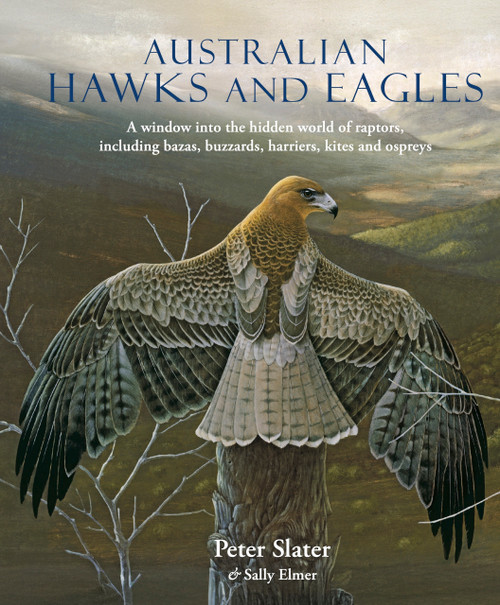 Australian Hawks and Eagles (A window into the hidden world of raptors, including bazas, buzzards harriers, kites and ospreys) by Sally Elmer, Peter Slater, 9781921517983