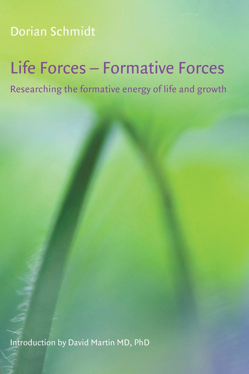 Life Forces - Formative Forces (Methodology for Investigating the Living Realm) by Dorian Schmidt, David Martin, 9781907359330
