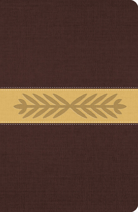 The Message Full Size (Leather-Look, Harvest Wheat) (The Bible in Contemporary Language) by Eugene H. Peterson, 9781612914305