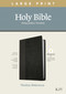 KJV Large Print Thinline Reference Bible, Filament Enabled (LeatherLike, Black/Onyx, Red Letter) by Tyndale, 9781496447159