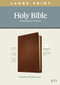 KJV Large Print Thinline Reference Bible, Filament Enabled (Genuine Leather, Brown, Red Letter) by Tyndale, 9781496447241
