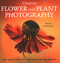 Creative Flower and Plant Photography (Tips and Tricks for Taking Stunning Shots) by Molly Hollman, 9780719840531