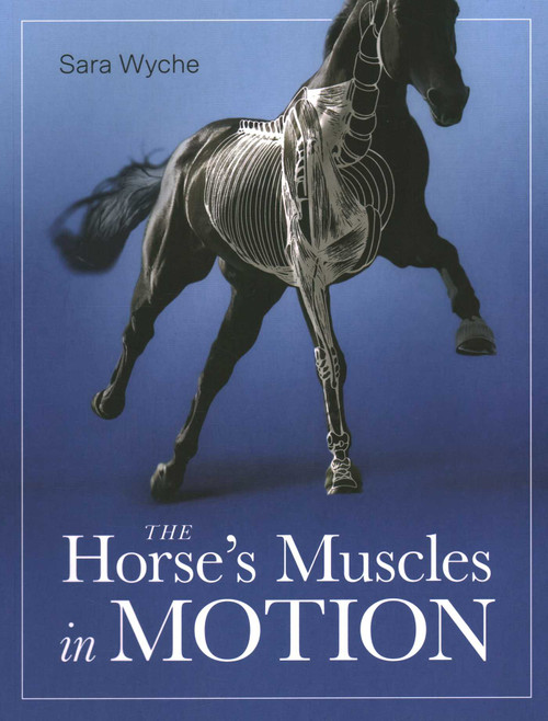 Horse's Muscles in Motion by Sara Wyche, 9780719840869