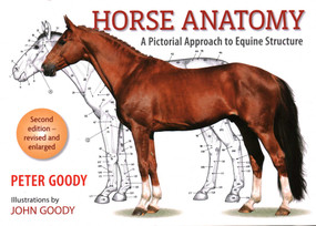 Horse Anatomy (A Pictorial Approach to Equine Structure) by Peter Goody, 9780851317694