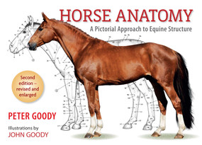 Horse Anatomy (A Pictorial Approach to Equine Structure) by Peter Goody, 9780851317694