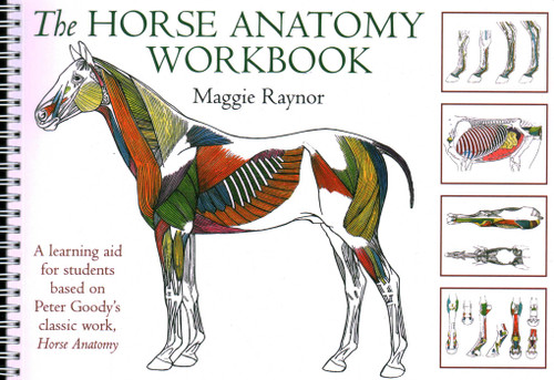 Horse Anatomy Workbook (A Learning Aid for Students Based on Peter Goody's Classic Work, Horse Anatomy) by Maggie Raynor, 9780851319056