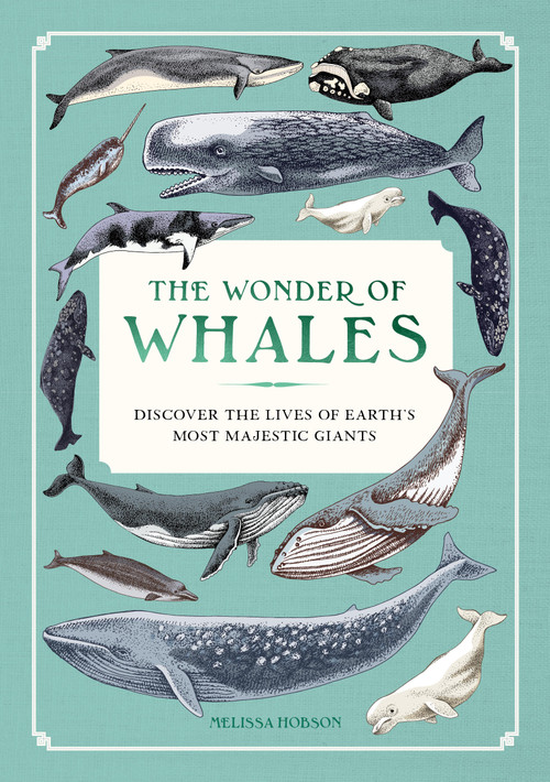 The Wonder of Whales (Discover the Lives of Earth's Most Majestic Giants) by Melissa Hobson, 9781577159155