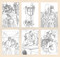 Holly Black's Faerie Coloring Postcards (50 Original Designs to Color and Share from the World of Elfhame) by Holly Black, 9798894141619