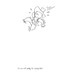 The Doodle Book (142 Fun Drawings You Can Finish Yourself) by John M. Duggan, John Duggan, 9781569756768