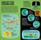 Build the T. Rex by Darren Naish, Mark Ruffle, Galia Bernstein, 9781607104155