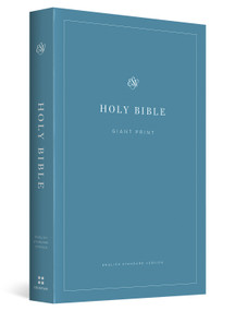 ESV Economy Bible, Giant Print (Paperback) by , 9798874906504