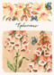 ESV Scripture Journal (Ephesians (Artwork by Ruth Chou Simons) (Paperback)) by Ruth Chou Simons, 9798874907129