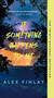 If Something Happens to Me (A Novel) - 9781250393937 by Alex Finlay, 9781250393937