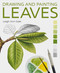 Drawing and Painting Leaves by Leigh Ann Gale, 9780719844966