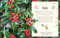 An Anthology of Christmas by Auriol Bishop, 9798217133451