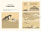 Bunns Rabbit by Alan Barillaro, Alan Barillaro, 9781536214673
