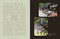 Silk Roads (A Flavor Odyssey with Recipes from Baku to Beijing) by Anna Ansari, 9798217126514