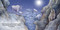 Good Night Colorado Animals by Adam Gamble, Mark Jasper, Gail Yerrill, 9781649071453