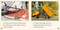 Phonic Books Lift Off Readers Ending Spelling Patterns by Phonic Books, 9798217129669