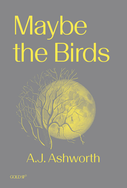 Maybe the Birds by A. J. Ashworth, 9781915983381
