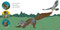 Squirrels Leap, Squirrels Sleep by April Pulley Sayre, Steve Jenkins, 9781665980517