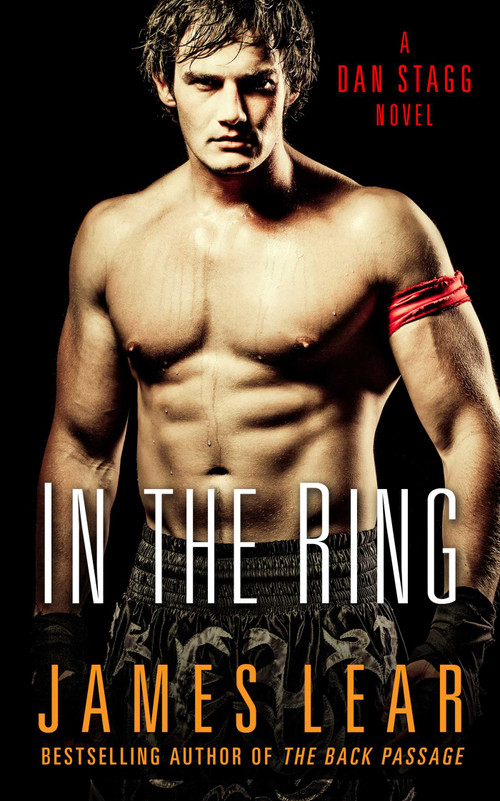 In the Ring (A Dan Stagg Mystery) by James Lear, 9781627782364