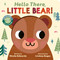 Hello There, Little Bear! by Nicola Edwards, Lindsey Sagar, 9781664352360