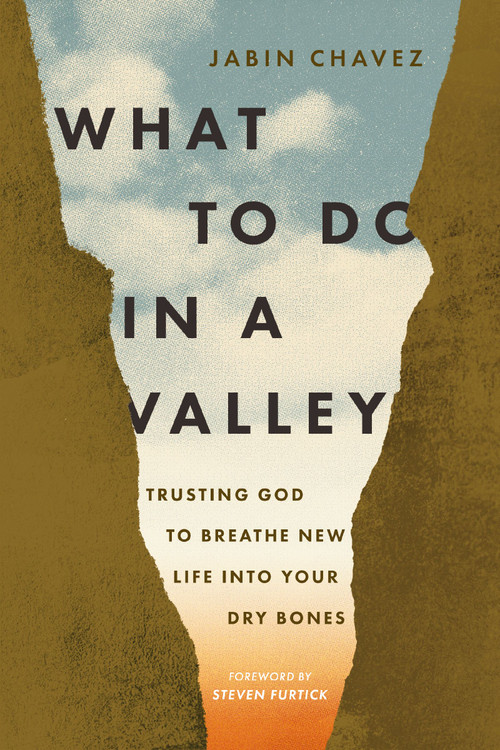What to Do in a Valley (Trusting God to Breathe New Life into Your Dry Bones) by Jabin Chavez, Steven Furtick, 9781400349722