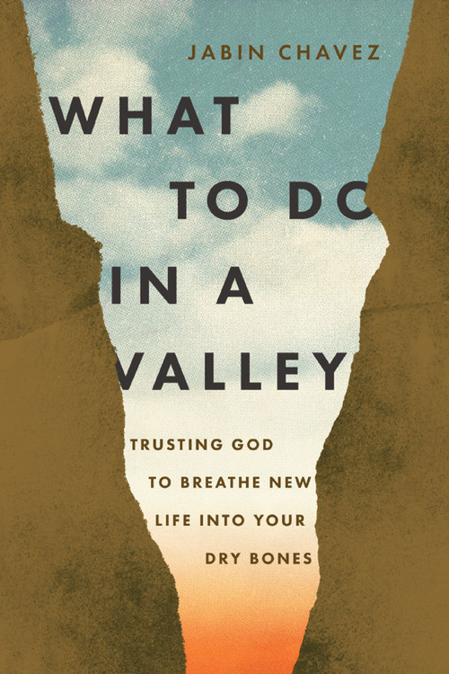 What to Do in a Valley (Trusting God to Breathe New Life into Your Dry Bones) by Jabin Chavez, 9781400349722