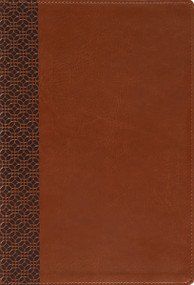 Amplified Holy Bible, Large Print, Leathersoft, Brown (Captures the Full Meaning Behind the Original Greek and Hebrew) by Zondervan, 9780310468936