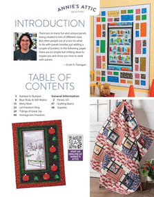 Building Quilts With Panels (6 Colorful Designs) by Scott A Flanagan, 9798892534031