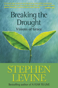 Breaking the Drought (Visions of Grace) by Stephen Levine, 9780943914480