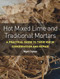 Hot Mixed Lime and Traditional Mortars (A Practical Guide to Their Use in Conservation and Repair) by Nigel Copsey, 9781785005558
